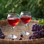 Les secrets du lambrusco : la fraîcheur pétillante de l’Italie en bouteille